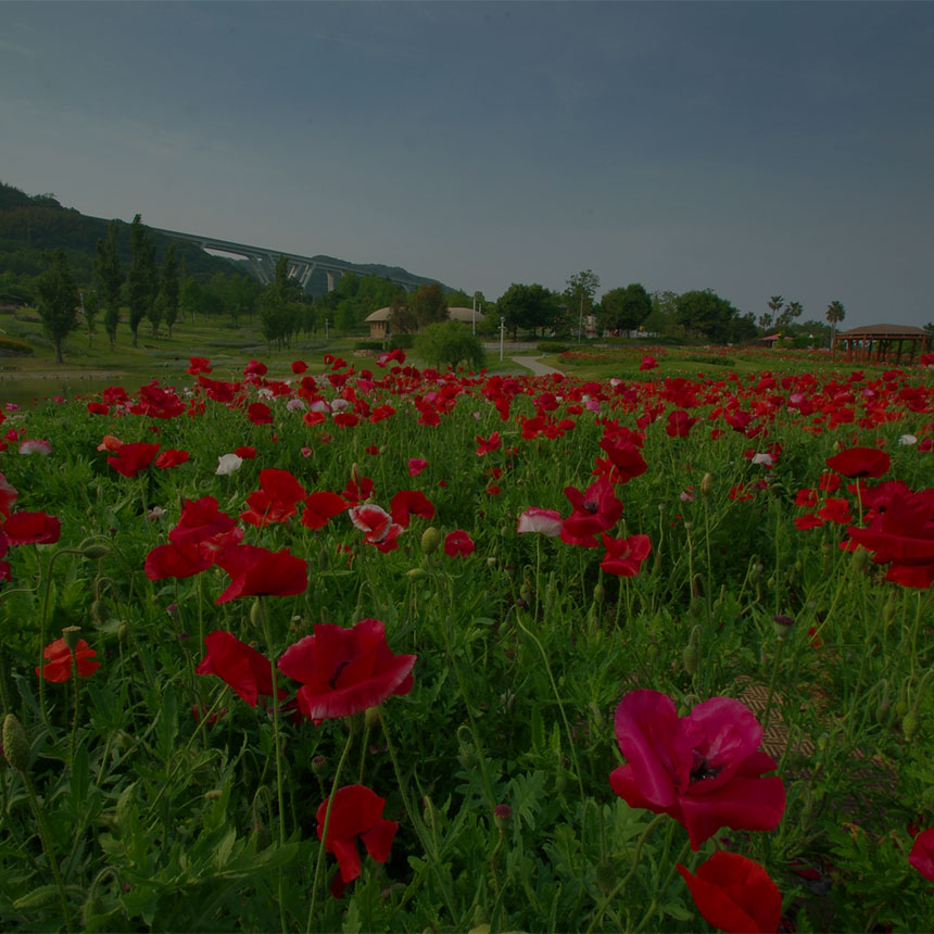 淡路島国営 明石海峡公園